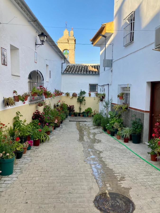 Apartamento Completo En Sierra Sur Villanueva de San Juan Εξωτερικό φωτογραφία