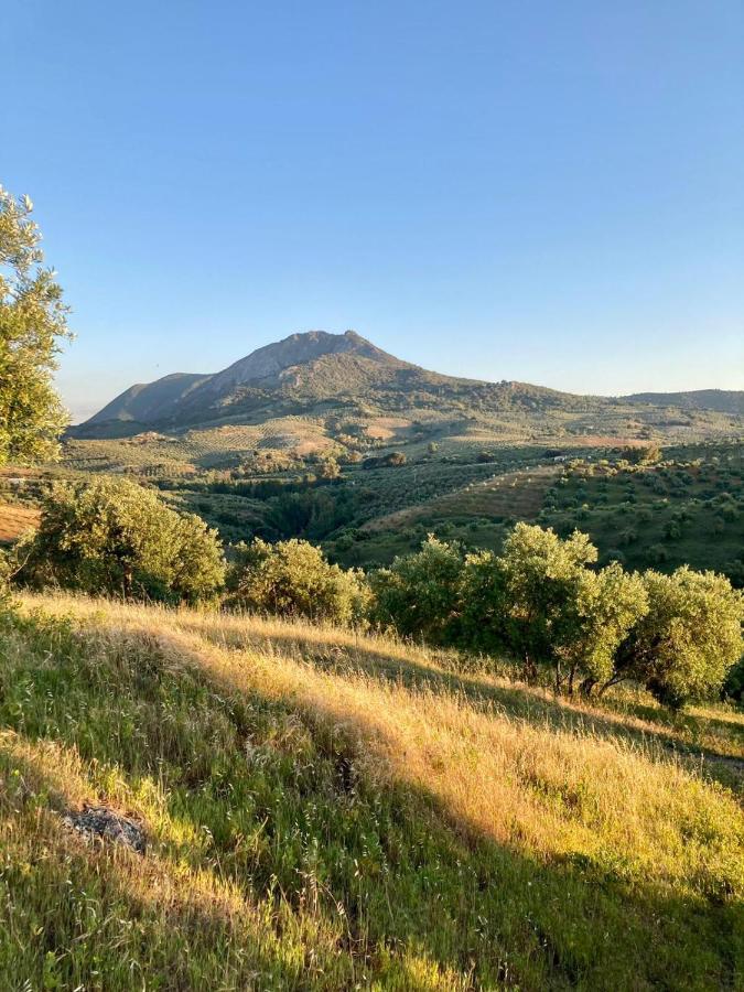 Apartamento Completo En Sierra Sur Villanueva de San Juan Εξωτερικό φωτογραφία